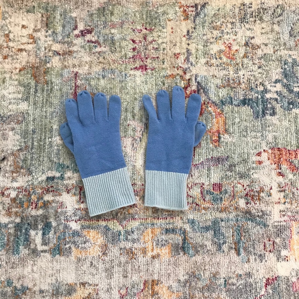 Express Cashmere Gloves